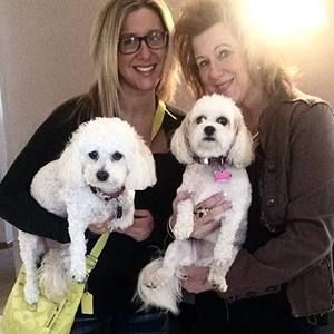 Meet your Posher, Wendy